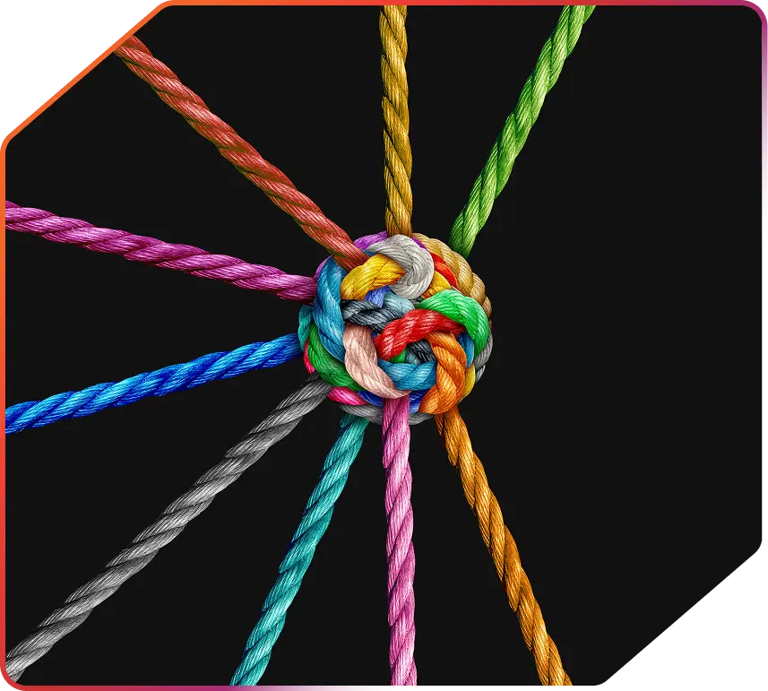 Multi-disciplinary team